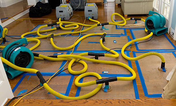 Professional Water Damage Restoration technician working in Westminster, MD